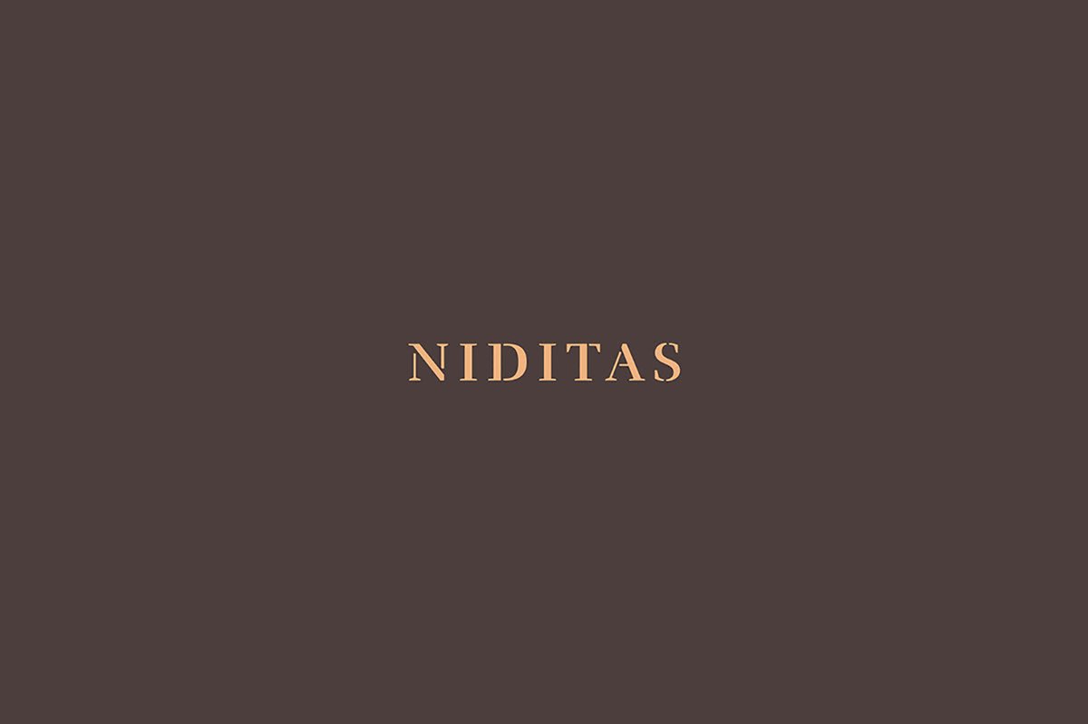 NIDITAS優秀馬術酒店vi品牌設計欣賞，vi設計，品牌vi設計，馬術酒店vi設計，酒店vi設計，酒店品牌vi，深圳vi設計，左右格局