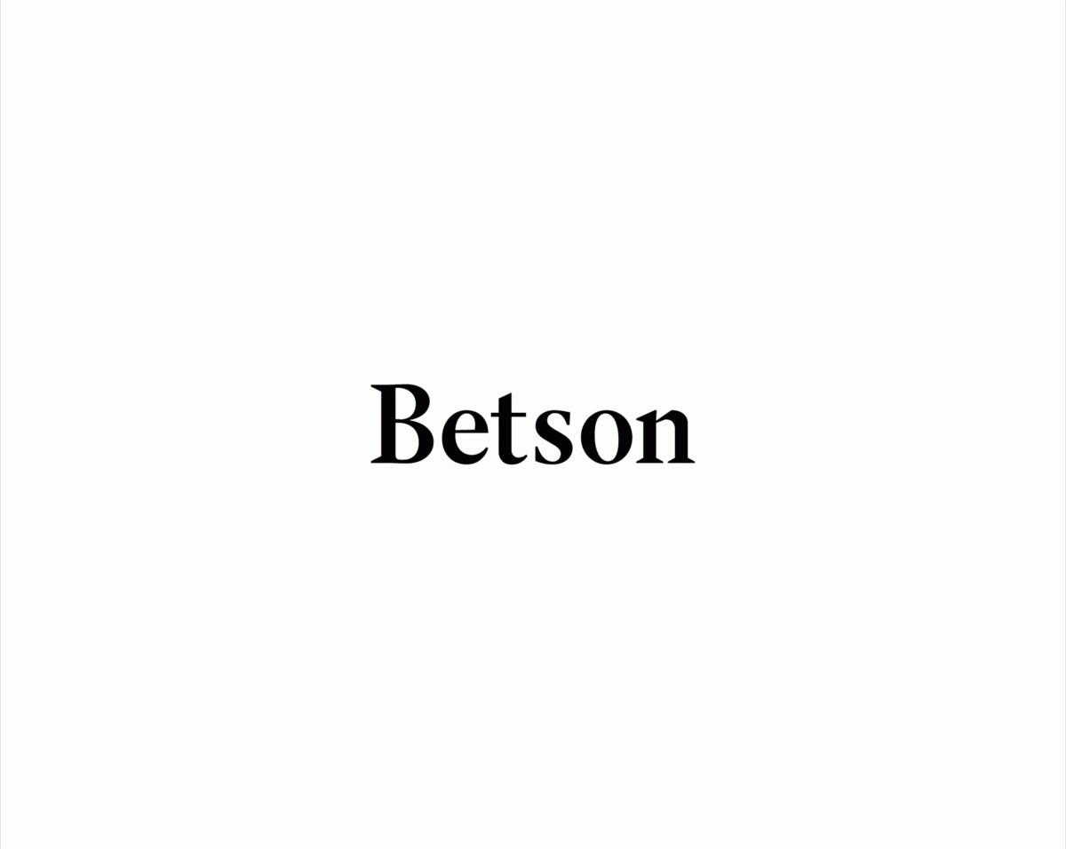 Betson男士配飾企業(yè)品牌vi設(shè)計(jì)和品牌包裝形象設(shè)計(jì)案例，vi設(shè)計(jì)，企業(yè)形象vi設(shè)計(jì)，企業(yè)品牌vi設(shè)計(jì)，配飾vi設(shè)計(jì)，品牌視覺形象設(shè)計(jì)，企業(yè)vi設(shè)計(jì)，深圳品牌策劃，深圳vi設(shè)計(jì)，左右格局