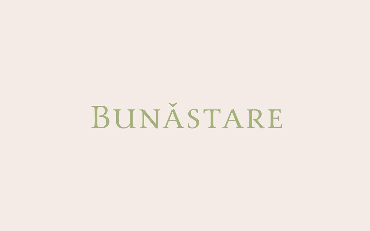 BUN?STARE美容品牌包裝vi設計——有機化妝品品牌視覺設計，vi設計，視覺設計，化妝品品牌vi設計，化妝品vi設計，企業(yè)vi設計，品牌vi設計，美容品牌vi設計，vi品牌策劃，深圳vi設計，左右格局