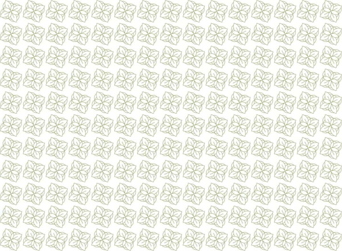 BUN?STARE美容品牌包裝vi設計——有機化妝品品牌視覺設計，vi設計，視覺設計，化妝品品牌vi設計，化妝品vi設計，企業(yè)vi設計，品牌vi設計，美容品牌vi設計，vi品牌策劃，深圳vi設計，左右格局