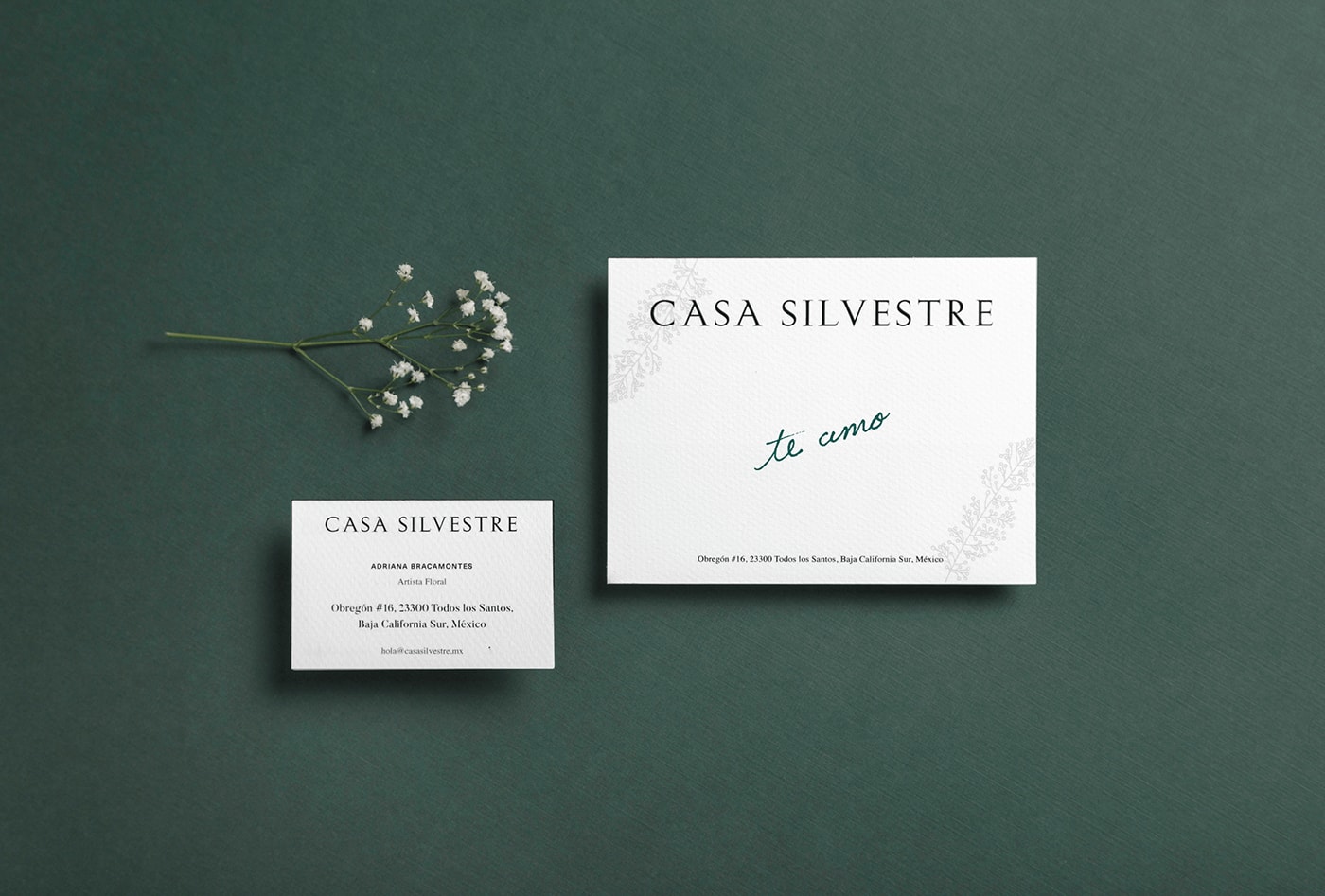 Casa Silvestre浪漫花店品牌logo設(shè)計與VI視覺設(shè)計，酒店VI設(shè)計，品牌視覺設(shè)計，企業(yè)VI設(shè)計，深圳VI設(shè)計，左右格局