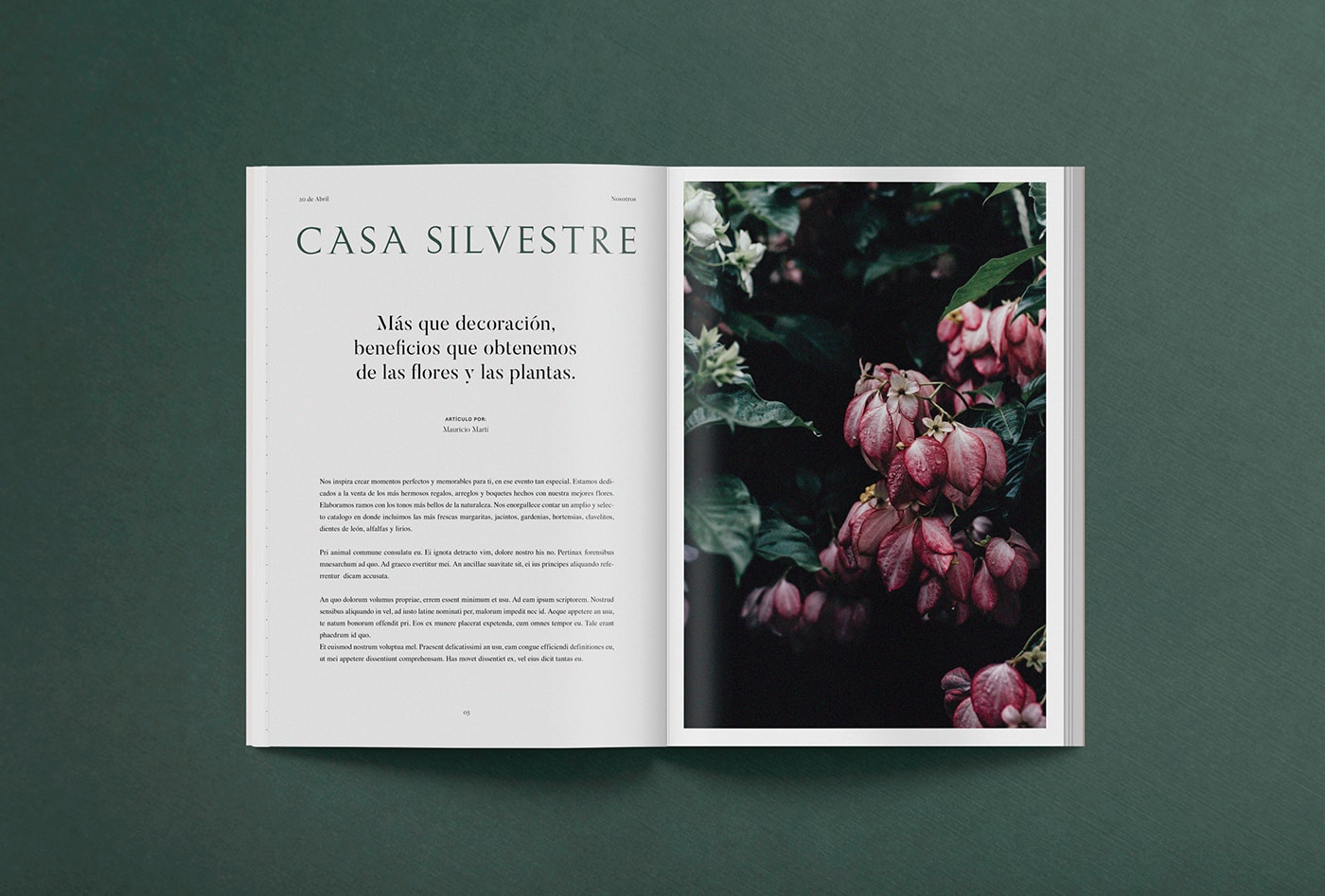 Casa Silvestre浪漫花店品牌logo設(shè)計與VI視覺設(shè)計，酒店VI設(shè)計，品牌視覺設(shè)計，企業(yè)VI設(shè)計，深圳VI設(shè)計，左右格局