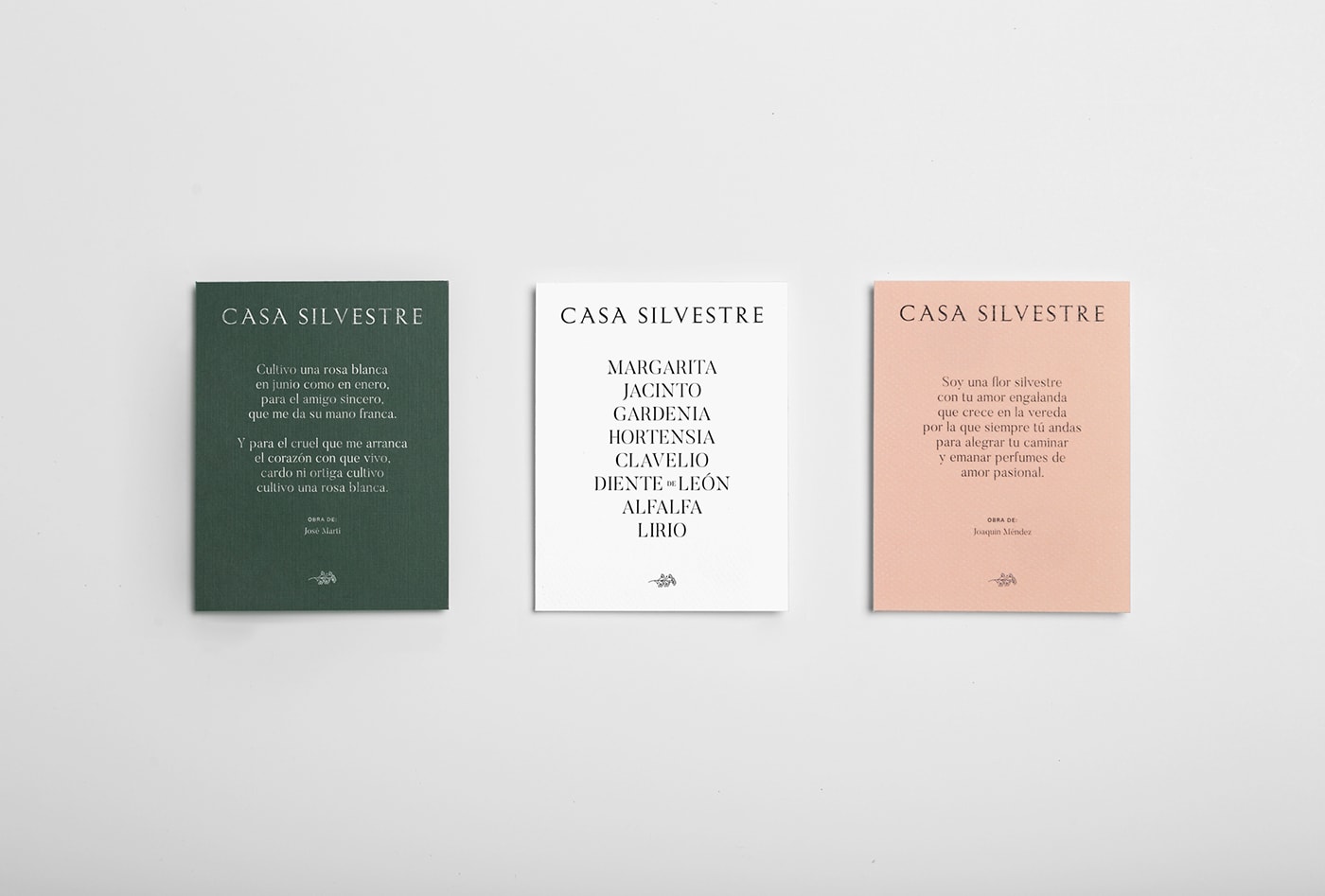 Casa Silvestre浪漫花店品牌logo設(shè)計與VI視覺設(shè)計，酒店VI設(shè)計，品牌視覺設(shè)計，企業(yè)VI設(shè)計，深圳VI設(shè)計，左右格局