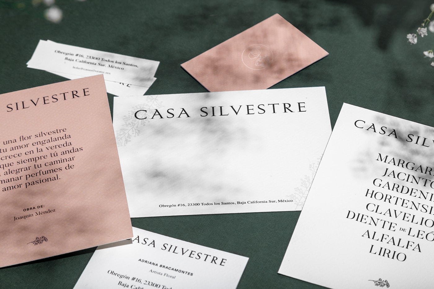 Casa Silvestre浪漫花店品牌logo設(shè)計與VI視覺設(shè)計，酒店VI設(shè)計，品牌視覺設(shè)計，企業(yè)VI設(shè)計，深圳VI設(shè)計，左右格局