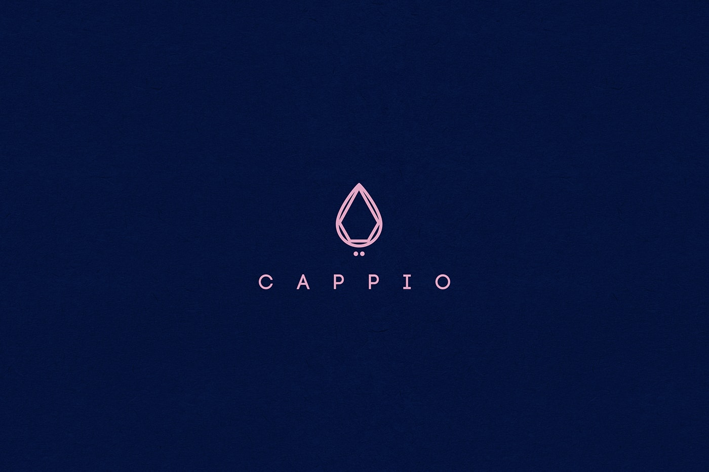 Cappio 服裝珠寶企業品牌全案策劃案例，服裝VI設計，品牌全案策劃，企業形象設計，深圳VI設計，左右格局